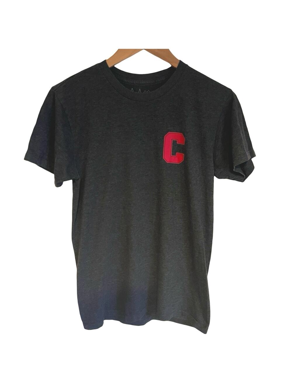 Cornell University Big Red C T-Shirt Men’s Small Gray Preppy Ithaca NY IvyLeague